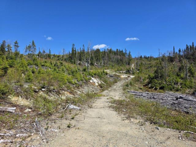 On the hill of the Mountain King - Cochrane, Unorganized, North Part, Ontario