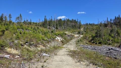 Photo from A bit of a hike