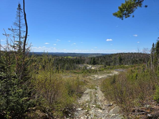 On the hill of the Mountain King photo 2