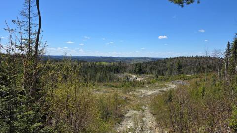 Photo from A bit of a hike