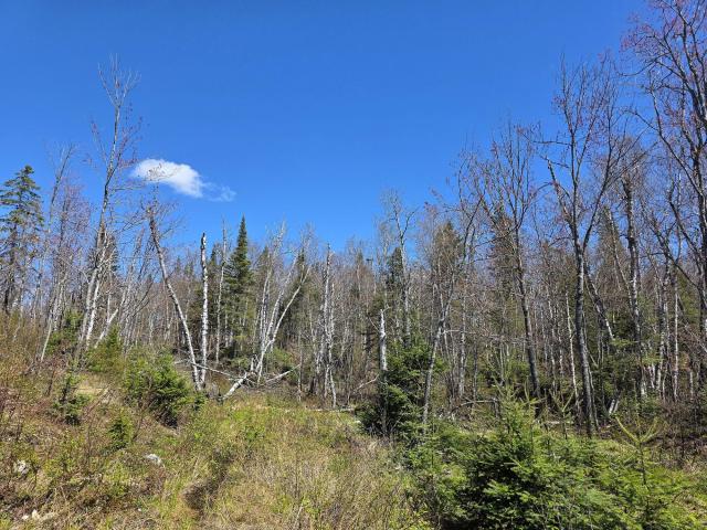 On the hill of the Mountain King photo 3