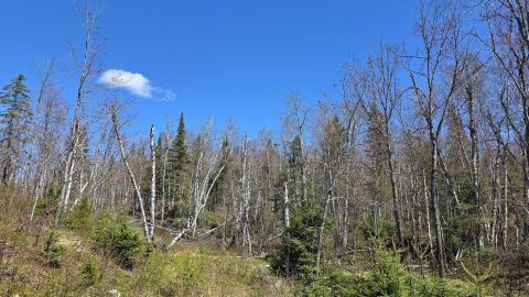 Photo from A bit of a hike