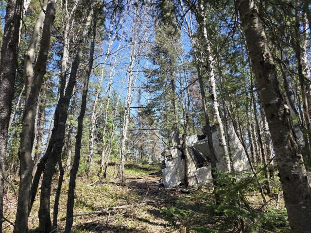 On the hill of the Mountain King photo 4