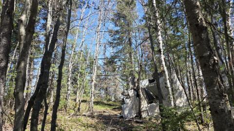 Photo from A bit of a hike