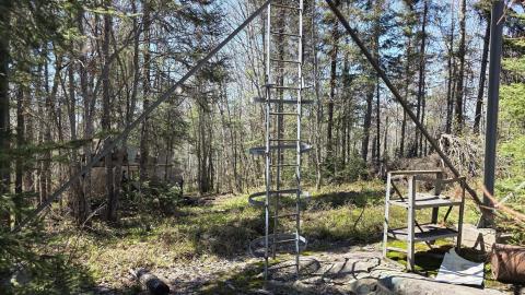 A bit of a hike - aeea40aa-55bc-477f-bfc4-8be12c7384a4.jpg
