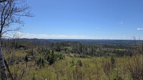 A bit of a hike - 1d7f4579-c83e-4cf7-82d0-6df734d9d8f6.jpg
