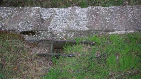 CN coaling tower - Washago-Assorted16.jpg