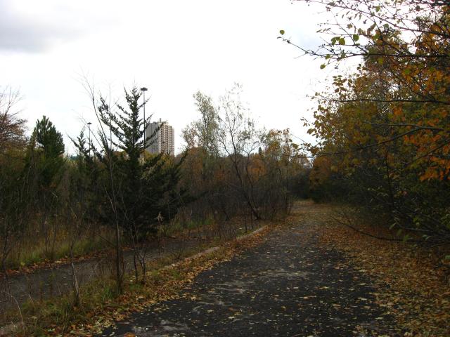 York Mills / DVP On-Ramp photo 5