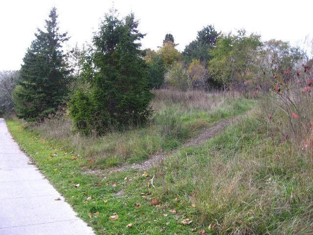 York Mills / DVP On-Ramp photo 3