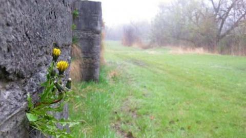 Lock then and now - 2nd-Welland-Canal-Lock-c.-185013.jpg
