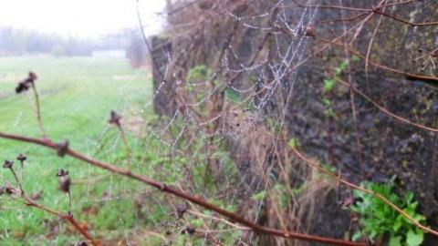 Lock then and now - 2nd-Welland-Canal-Lock-c.-185014.jpg