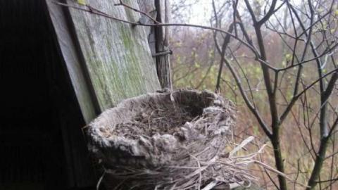 Lone Barn - Thorold, Ontario