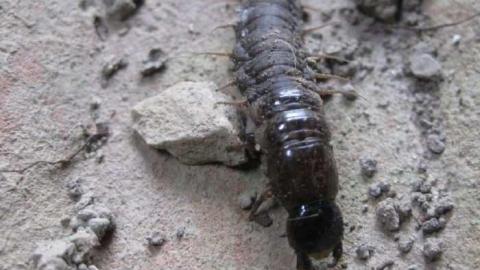Lone Barn - Lone-Barn6.jpg