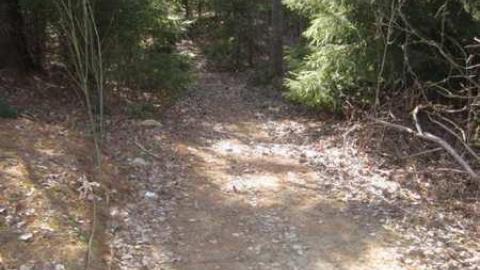 The old 666 Dufferin Street - House-02.jpg