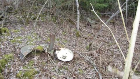 The old 666 Dufferin Street - House-16.jpg