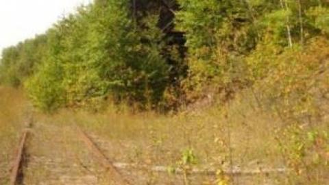 Gallery - Devon-Train-Station5.jpg