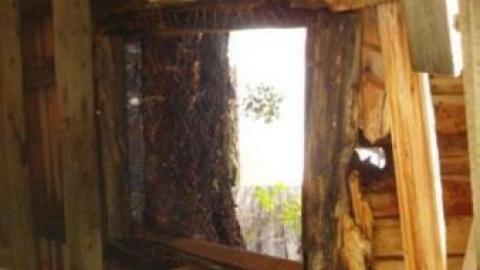 Gallery - Devon-Train-Station7.jpg