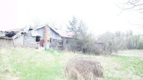 Stable - Picton-Stable2.jpg