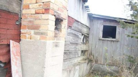 Stable - Picton-Stable3.jpg