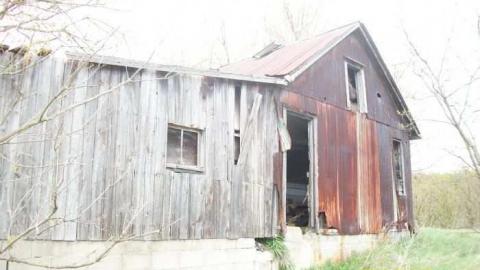 Stable - Picton-Stable7.jpg