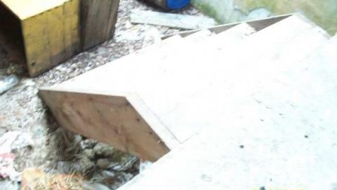 Picton Stable photo 2