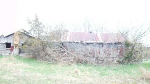 Stable - Picton-Stable18.jpg