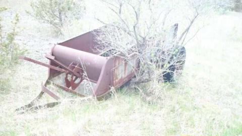 Picton Stable photo 4