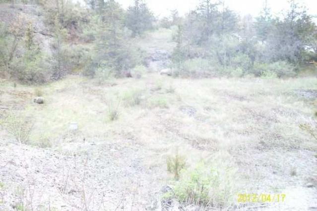 Picton Stable photo 3