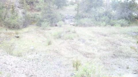 Picton Stable photo 3