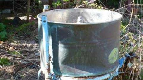 Bird dog - Bird-House-Lane46.jpg