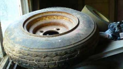 Bird dog - Bird-House-Lane47.jpg