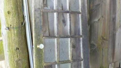 Bird dog - Bird-House-Lane48.jpg