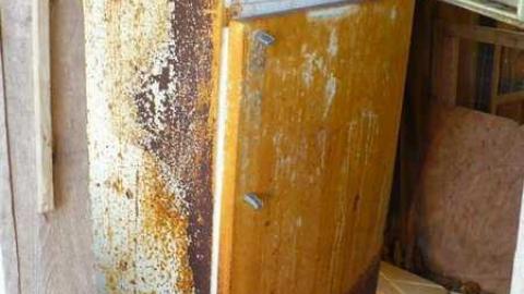 Bird dog - Bird-House-Lane49.jpg