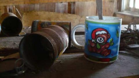 Bird dog - Bird-House-Lane50.jpg