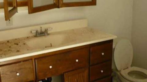 Bird dog - Bird-House-Lane68.jpg