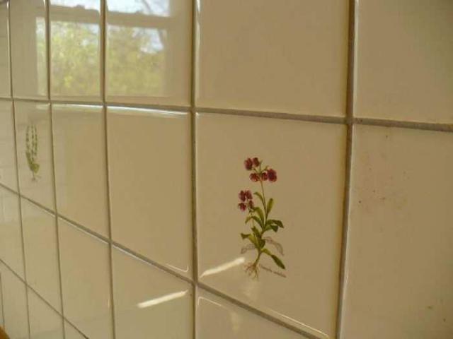 Bird House Lane photo 5