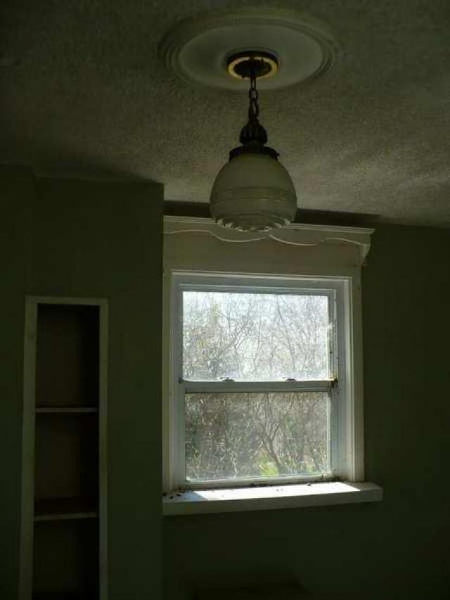 Bird House Lane photo 3