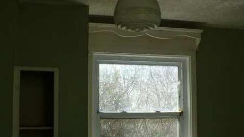 Bird dog - Bird-House-Lane70.jpg