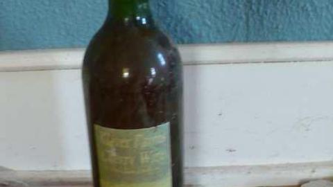 Bird dog - Bird-House-Lane72.jpg