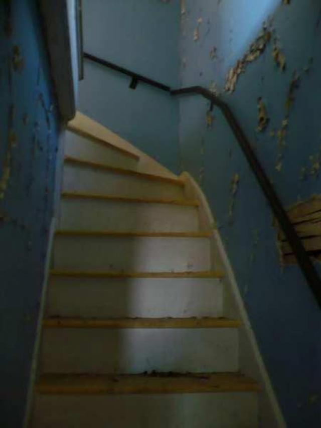 Bird House Lane photo 5