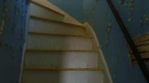 Bird House Lane photo 5