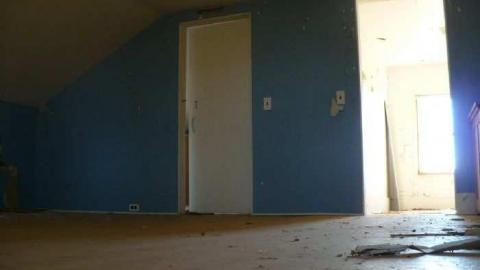 Bird dog - Bird-House-Lane74.jpg