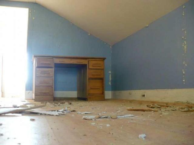 Bird House Lane photo 4