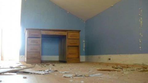 Bird House Lane photo 4