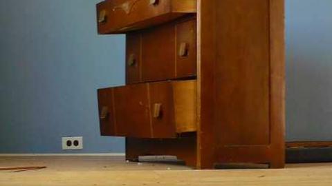 Bird dog - Bird-House-Lane76.jpg