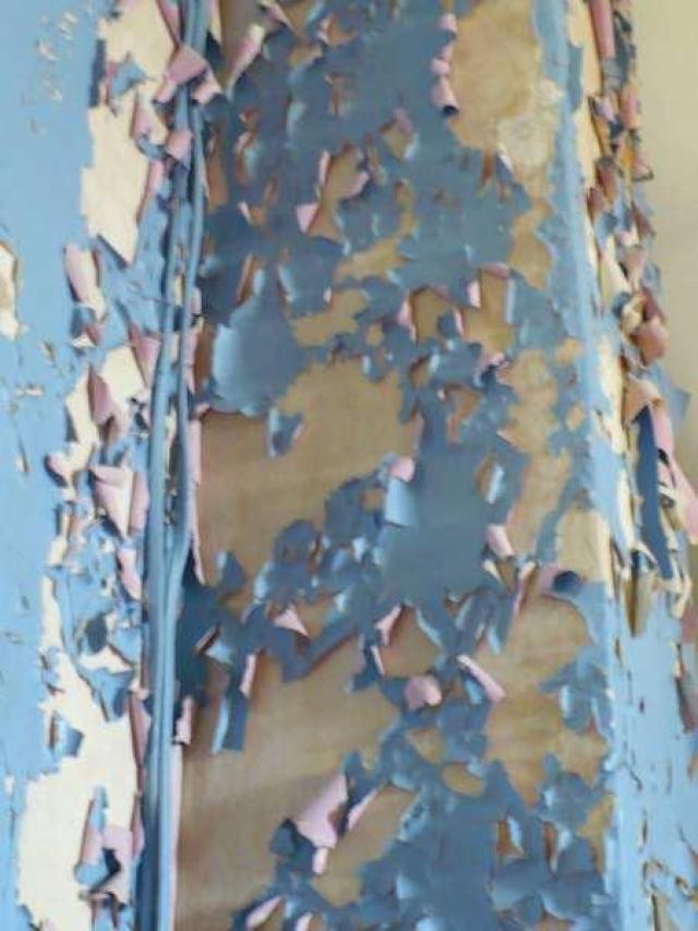 Bird House Lane photo 3