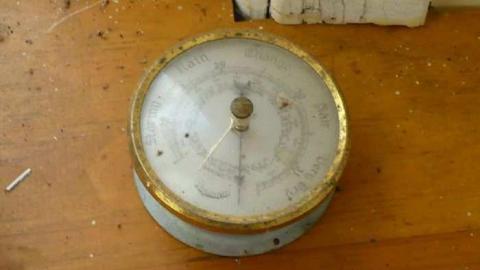 Bird dog - Bird-House-Lane78.jpg