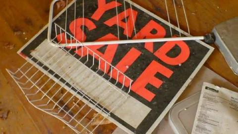 Bird dog - Bird-House-Lane79.jpg