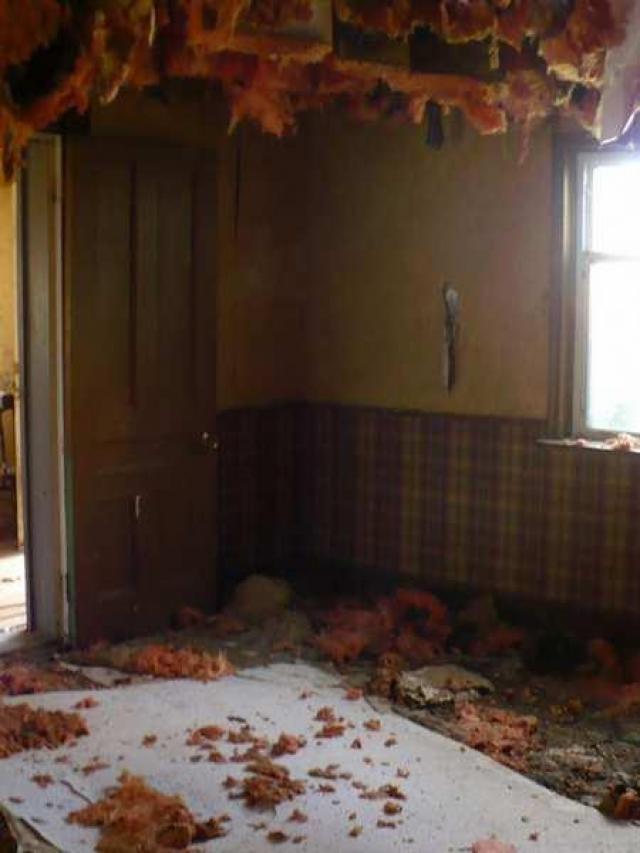 Bird House Lane photo 4