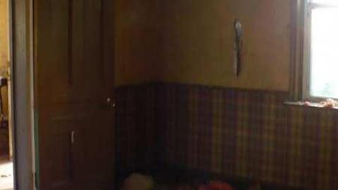 Bird dog - Bird-House-Lane80.jpg